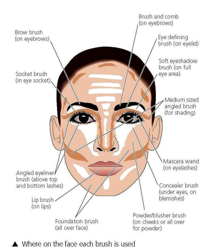 Makeup Application Chart